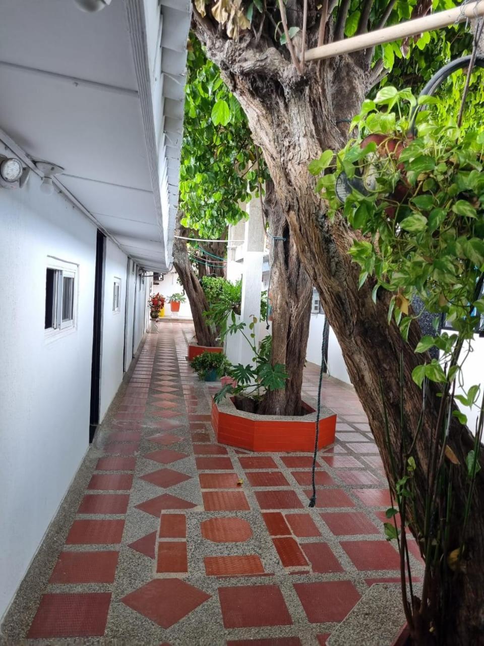 Hotel Mayte Fonseca Luaran gambar