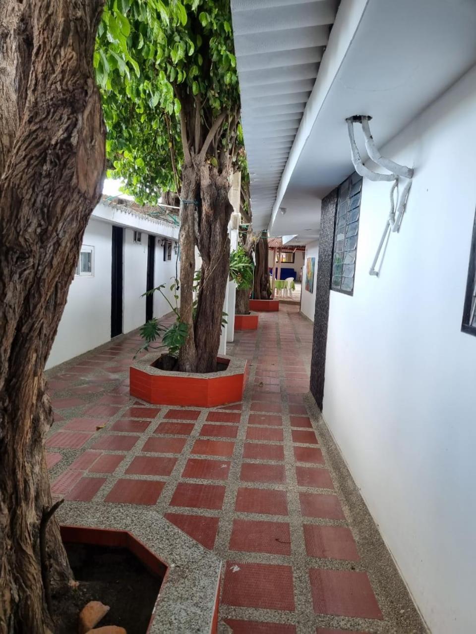 Hotel Mayte Fonseca Luaran gambar